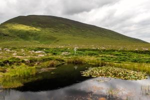 Tralee - Camp