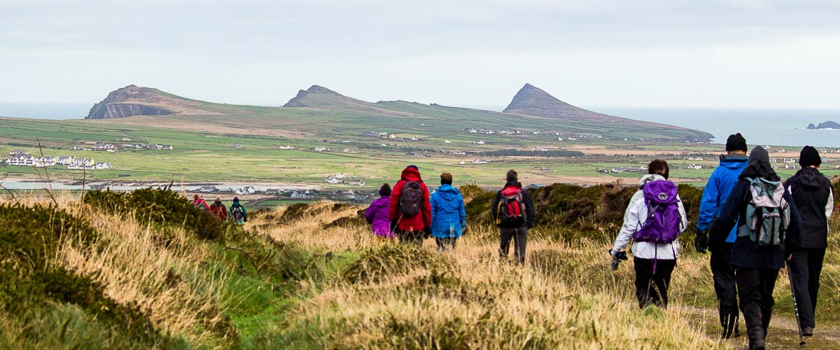 Group hiking along the Dingle Way trail with a view of the three sisters on the Dingle Peninsula in Ireland